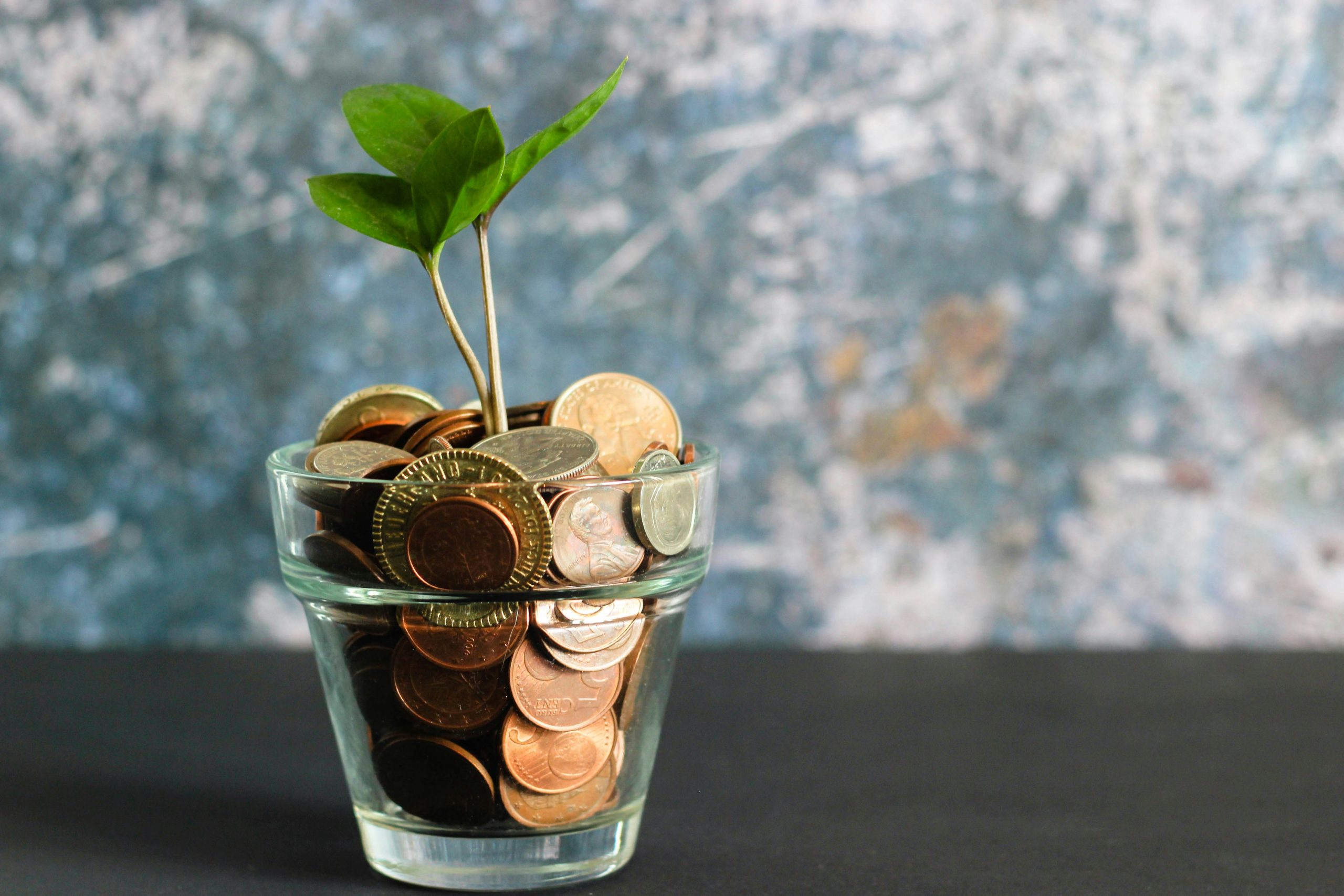 A clear glass filled with coins. Out of the coin sprouts a small green-leafed plant.